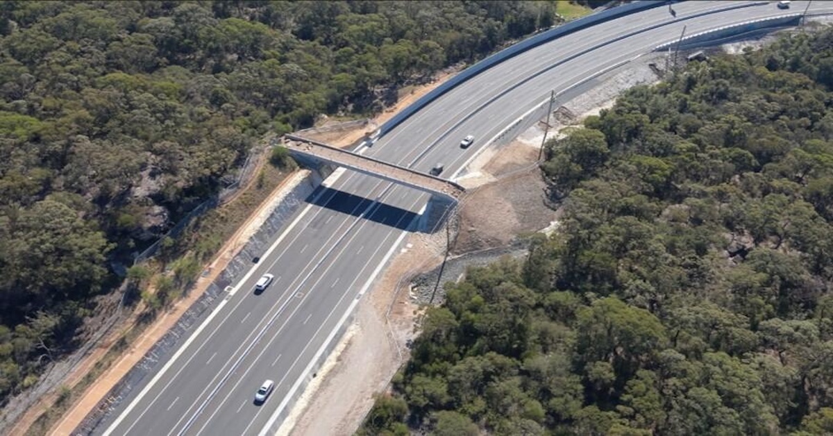 Mona Vale Fauna Bridge Prompts Calls To Protect Ingleside Bushland